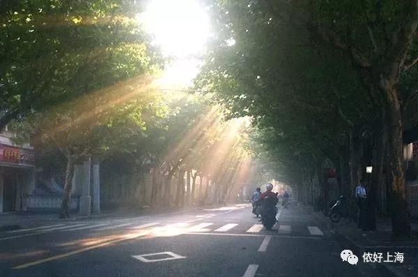 武夷路变身上海新地标 打卡攻略请收好