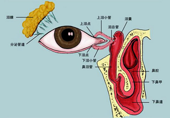 易经中关于疾病的论述