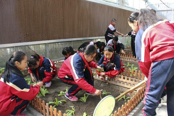 家门口好学校 不求人人成名 但求个个成功