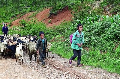 上海中学生用镜头记录山区 持续6年志愿服务