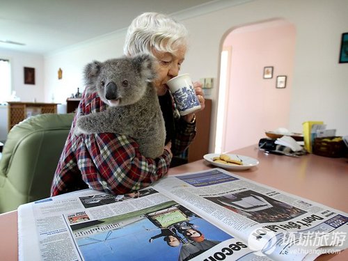 欣赏世界上最可爱的动物