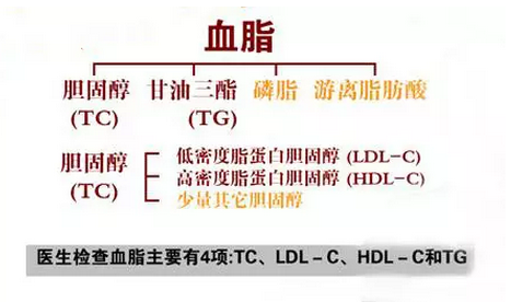 血脂报告怎么看记住这几项指标就够了