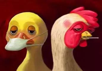 禽流感H7N9风云再起 宝宝如何预防?