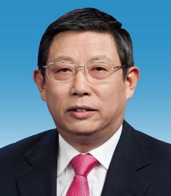 选举杨雄为上海市人民政府市长,屠光绍,艾宝俊,沈晓明,赵雯,姜平,周波