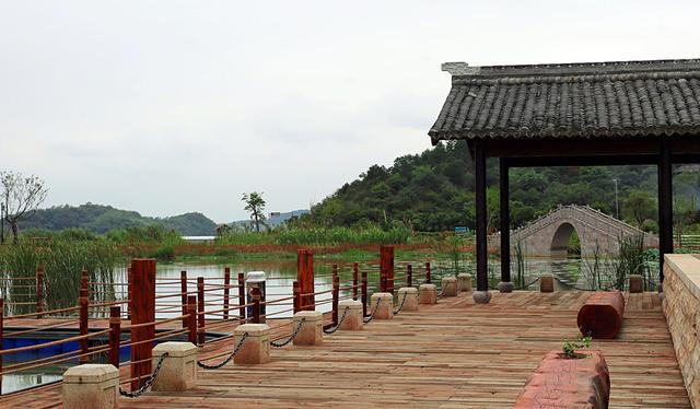 下水湿地公园