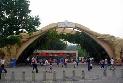 老上海小时候去哪儿玩，西郊公园你还记得吗?_大申网_腾讯网