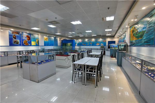 场馆介绍:海洋珍奇贝壳馆