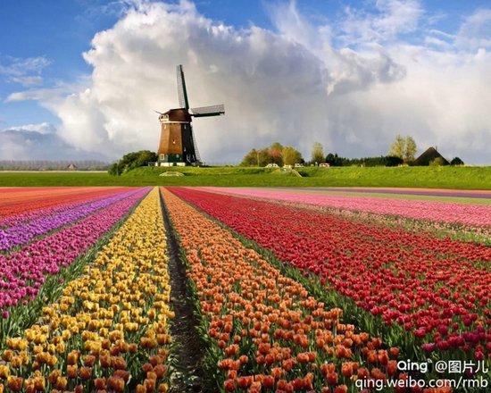 2013WTF 上海青旅精品路线推荐