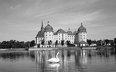 解析四大免学费留学国政策