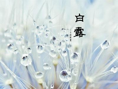 白露节气的介绍