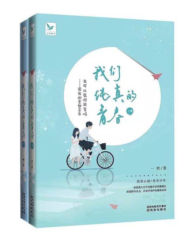 《我们纯真的青春》