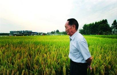83岁袁隆平:粮食安全就是我的"中国梦"