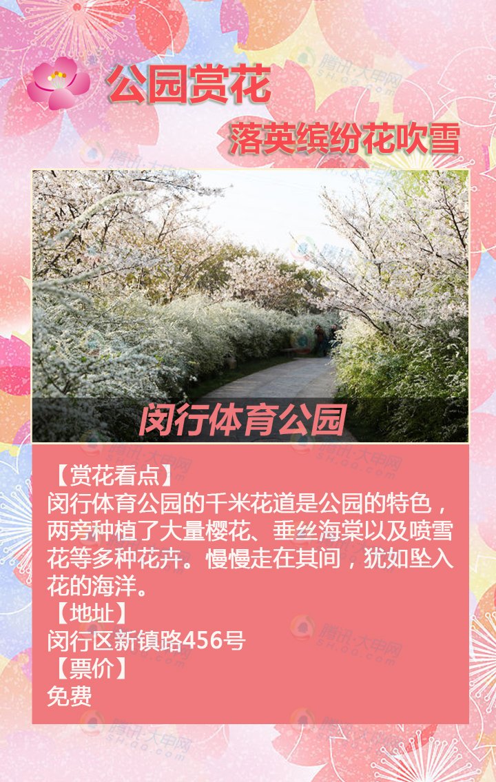 2015最全上海赏樱花地图_腾讯大申网.旅游频