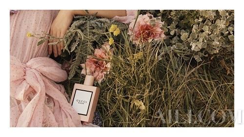 Gucci Bloom花悦女士香水系列