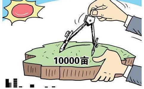 沪3月新政:敬老卡申领全市通办 公园内也要禁烟
