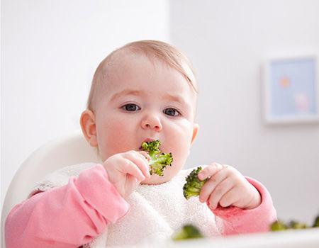 宝宝吃五大营养提高智商