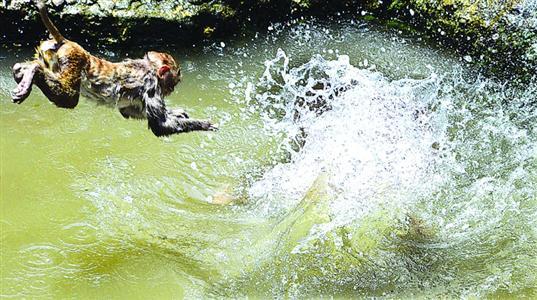 北京天津石家庄等地昨纷纷突破40℃,高温红警
