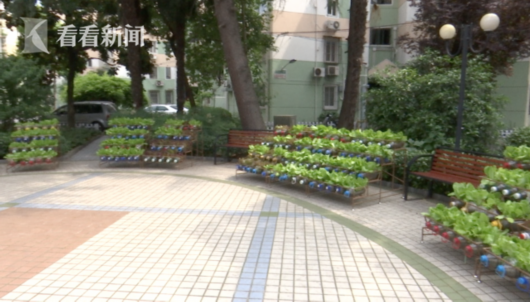 2018美丽中国长江行 上海这个小区垃圾分类有