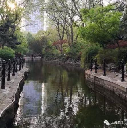 爱上海的理由：我与上海这五年（Part.1）