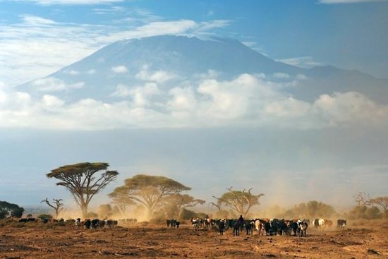 乞力马扎罗的雪》更使山顶那一头豹子成为永恒