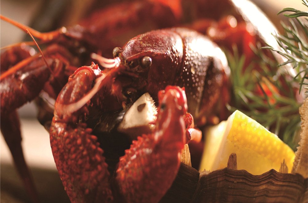 龙虾节活动内容：