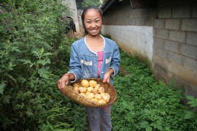 最悲伤作文发现四个版本 课堂习作失踪