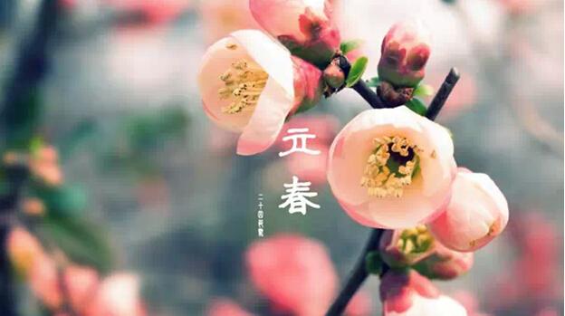 ·Σ°빦 