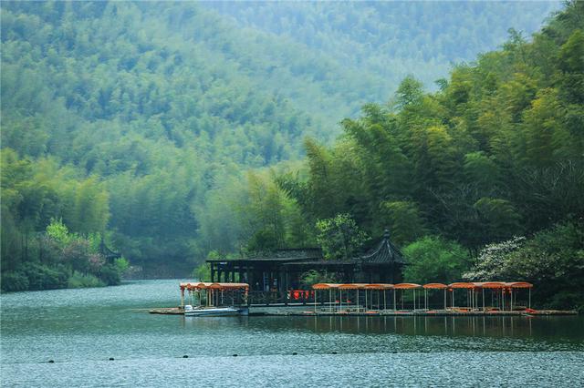 竹林山水间的斑斓世界 上海周边最美的郊游地