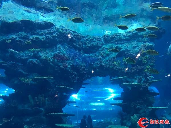 360度全息球幕影院 带你探秘上海海昌海洋公园