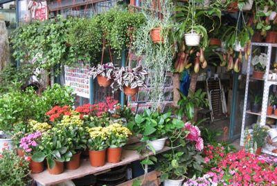 看老外如何玩转上海:住老城厢 吃大饼油条