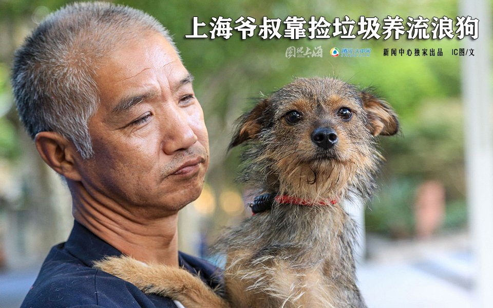 上海爷叔靠捡垃圾养流浪狗 图说上海 腾讯·大