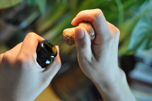 正确的开启起泡葡萄酒 点燃浪漫温馨