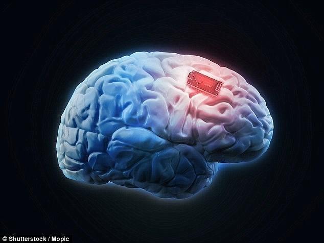 人脑内植入芯片替换记忆 15年内这将不再是天