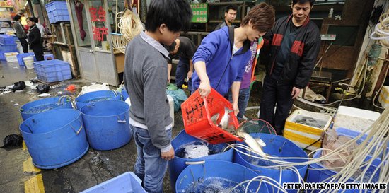 上海曹杨路海鲜市场_迪卡侬曹杨路店_海鲜贸易市场