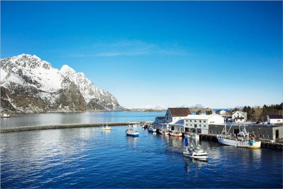 挚爱白色黄金 挪威首相访华推广挪威北极鳕鱼