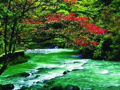 万名老人畅游恩施大峡谷 武隆天坑地缝 黑山谷