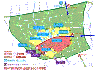 大宁郁金香公园花博会即将开幕!观展交通提示看这里