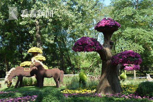 2017上海菊花展开幕 首个双休日超3.5万人参观