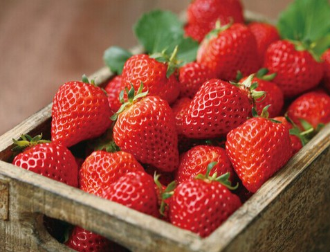 时令水果营养多 盘点草莓8大养生作用