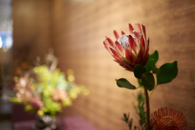 日本草月流创立90周年庆上海草月展隆重开幕