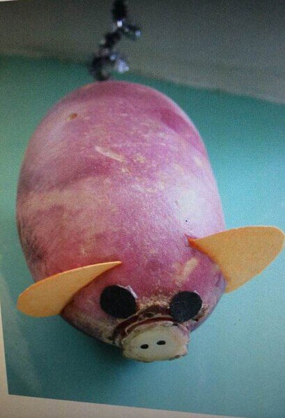 那天,幼儿园布置作业让家长和小朋友一起做蔬