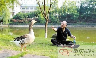 神兽排行榜_大话西游2当年的第一男人,坐拥十大顶级神兽,称霸六大排行榜!