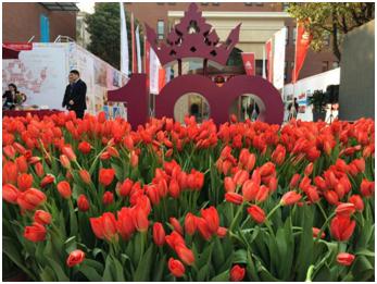 上海百佳妇产医院初次亮相