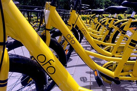 沪男童骑小黄车身亡案初交锋 ofo公司坚称无责