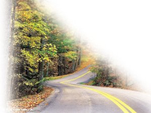 石家庄周边八大景区观红叶 秋赏地图发布(图)