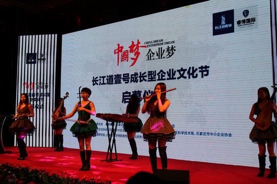 长江道壹号成长型企业文化节启幕仪式成功举办