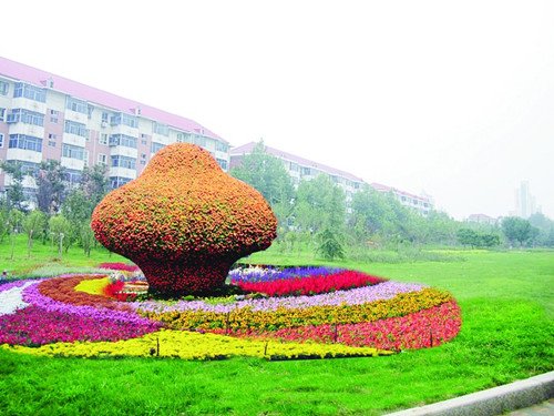 十一裕华路变身立体鲜花走廊（图）