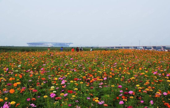 石家庄滹沱河生态区重新开放?那些年你错过的美景在这里