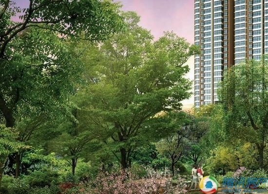 不比房姐房叔 石家庄老百姓如何买到房