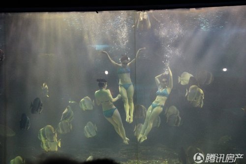 国大房地产精英团队烟台威海蓬莱清凉之旅